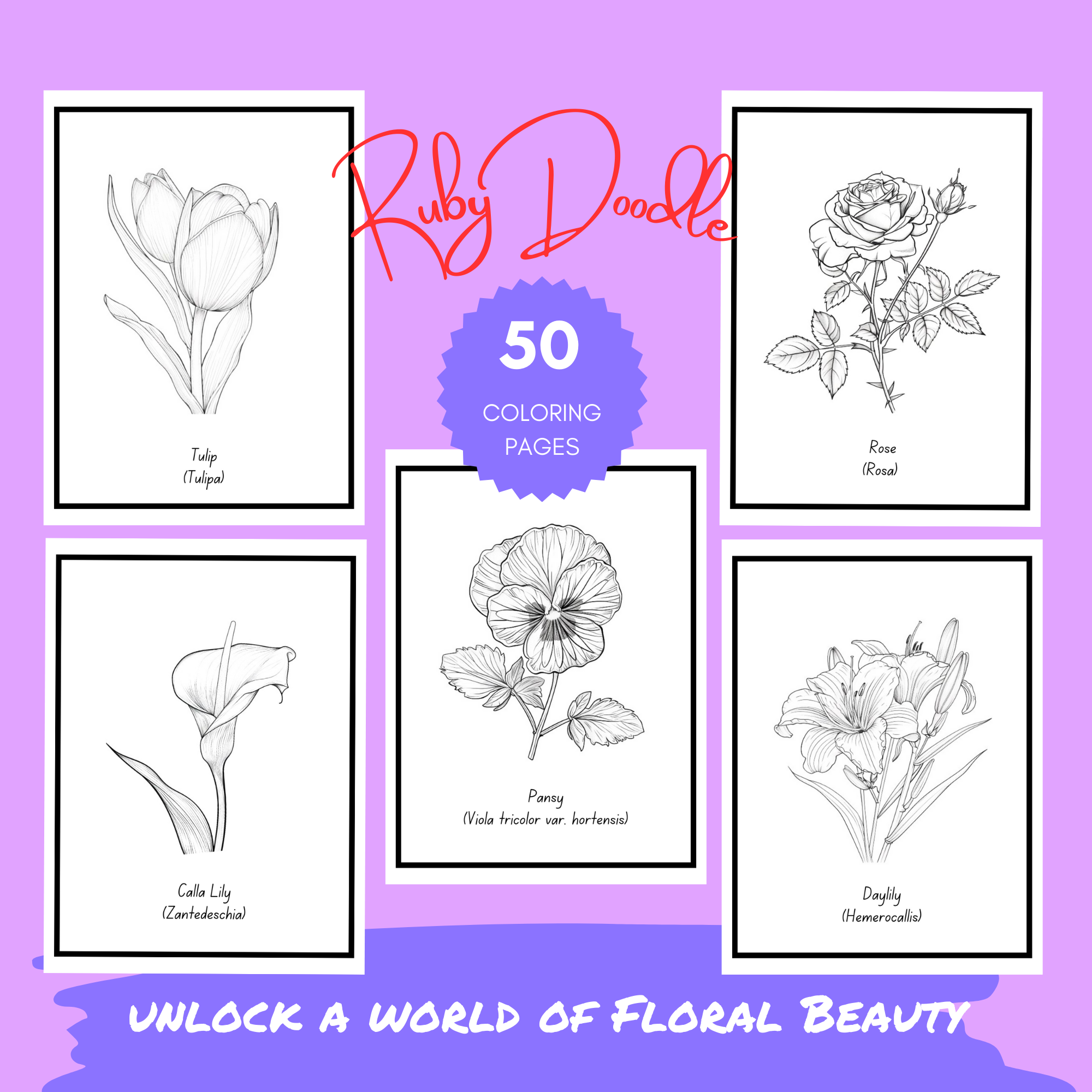 Bold Blooms: Large Print Simple Flower Coloring Book - Print