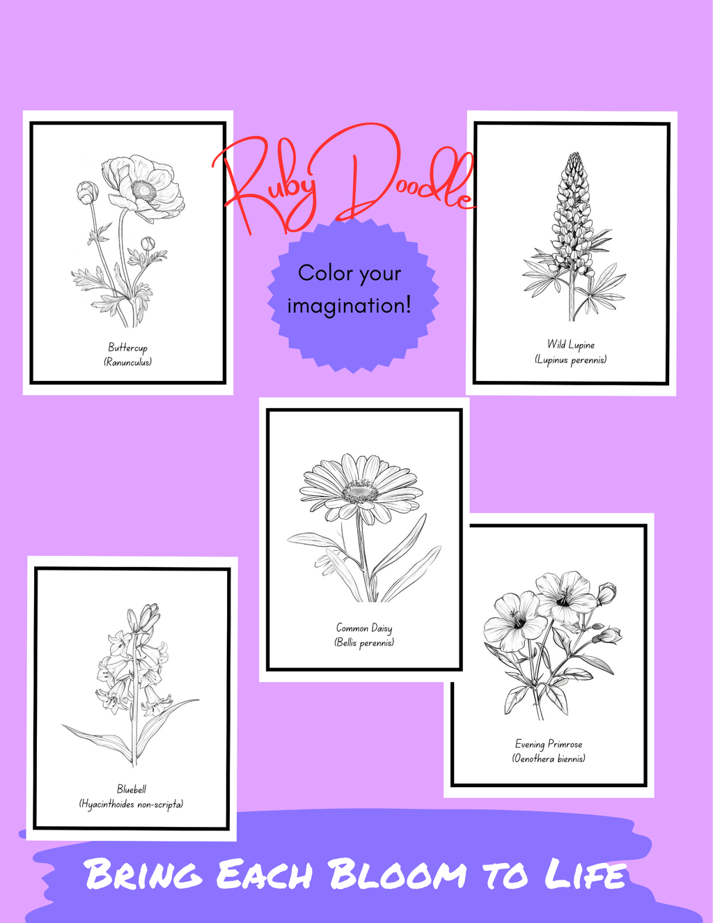 Bold Blooms: Large Print Coloring Book - Digital & Print