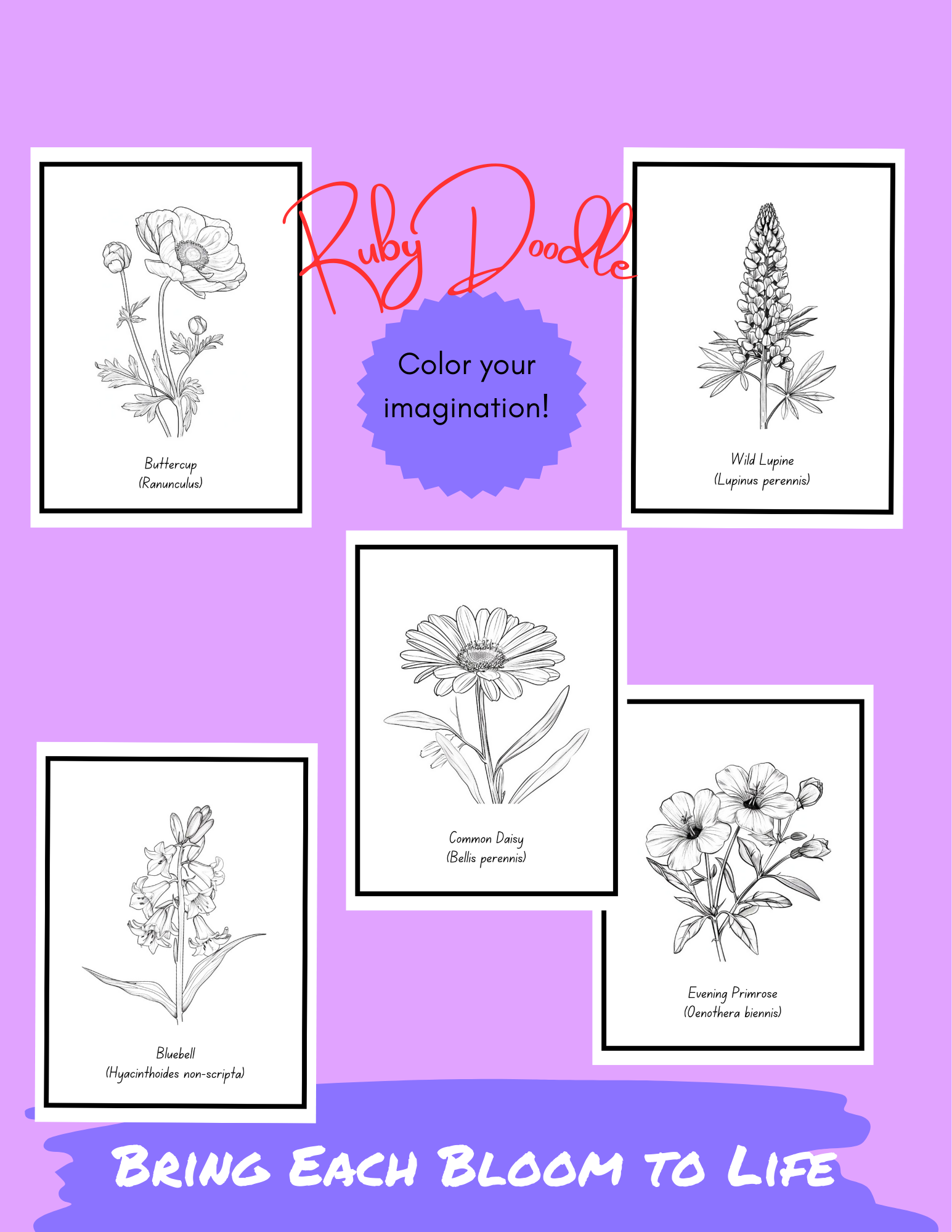 Bold Blooms: Large Print Coloring Book - Digital & Print