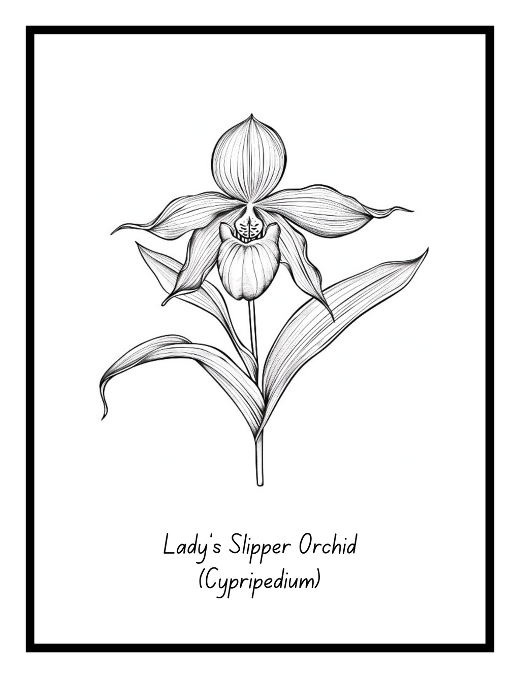 Bold Blooms: Large Print Simple Flower Coloring Book - Digital Pages