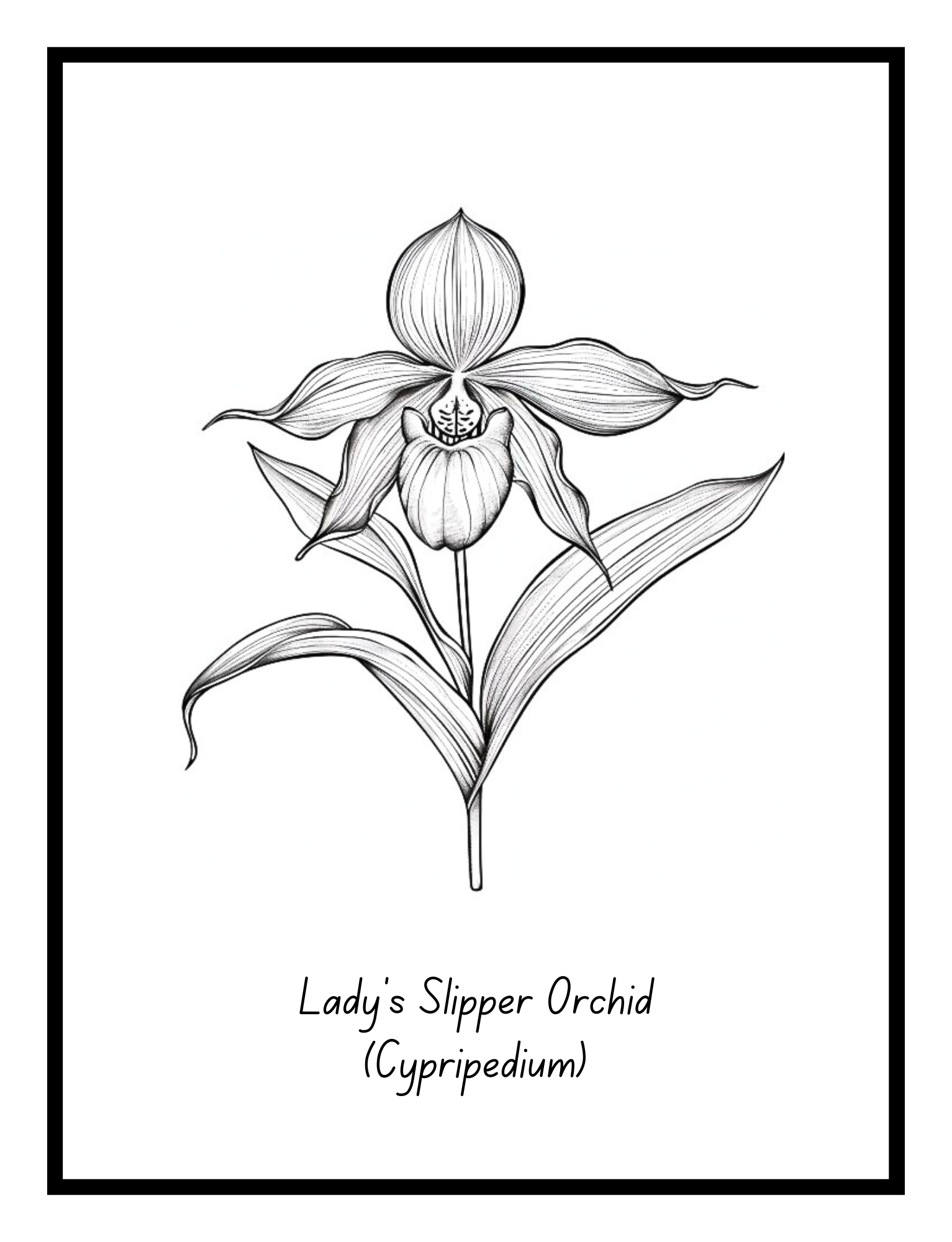 Bold Blooms: Large Print Simple Flower Coloring Book - Digital Pages