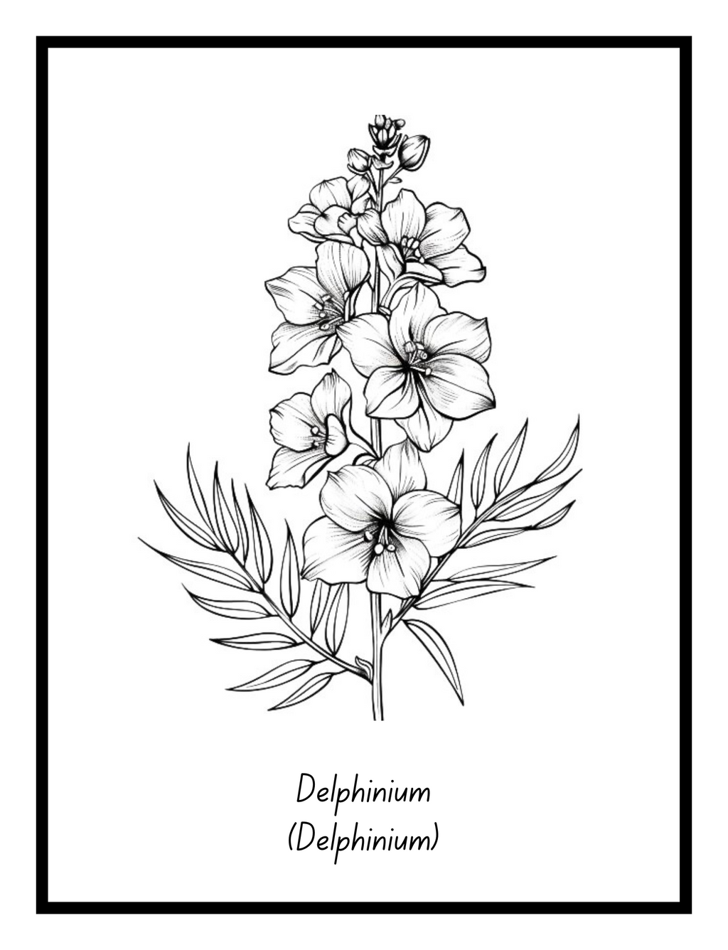 Bold Blooms: Large Print Simple Flower Coloring Book - Digital Pages