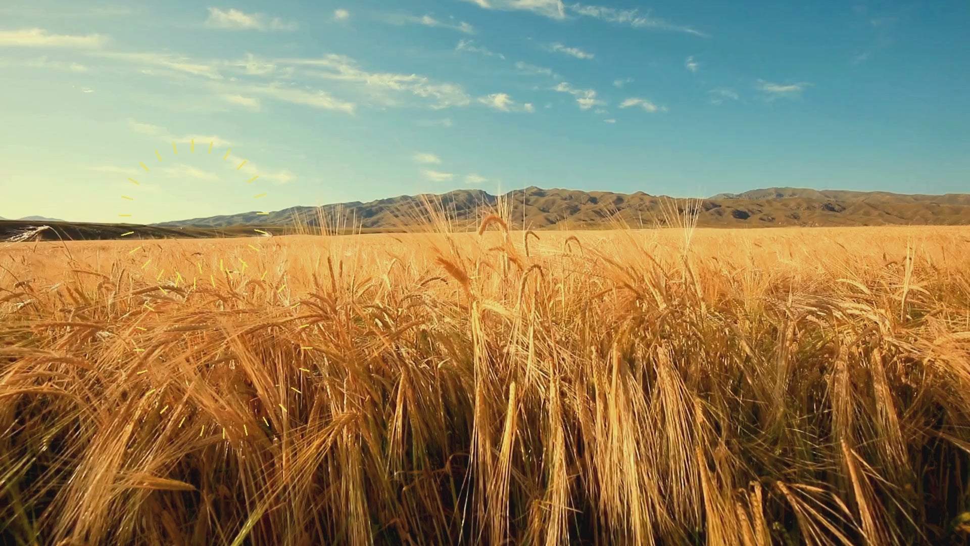 Cozy Country Charm Coloring Book: Simple and Serene Escape to Peaceful Settings - Print